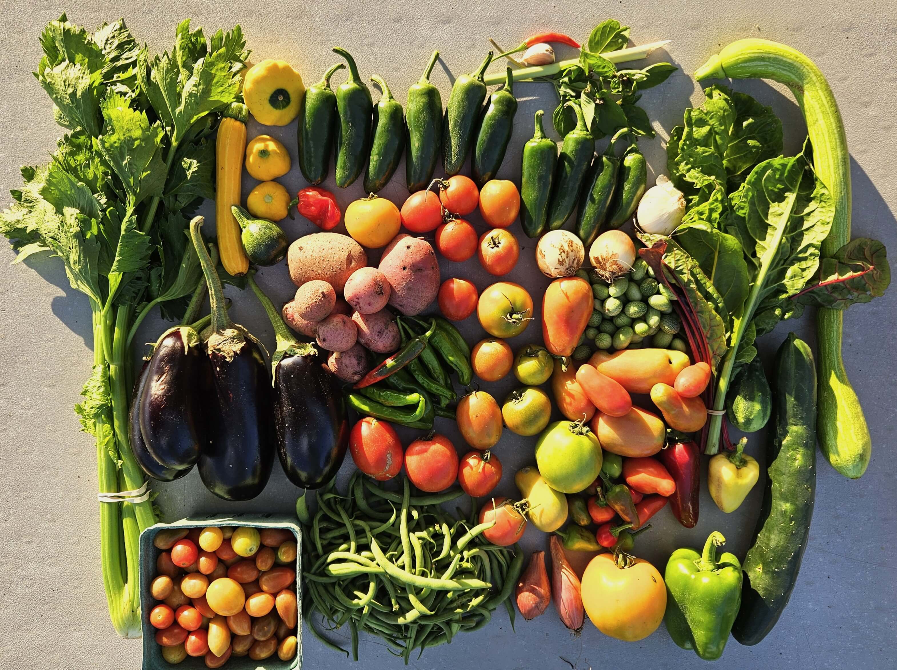 GI Acres layout of CSA produce offerings