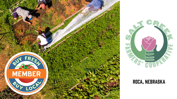 Salt Creek Farmers Cooperative spotlight image showing a group of people growing vegetables in a garden