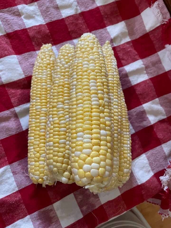 Corn grown by Ar-Dot Farmstand Foods